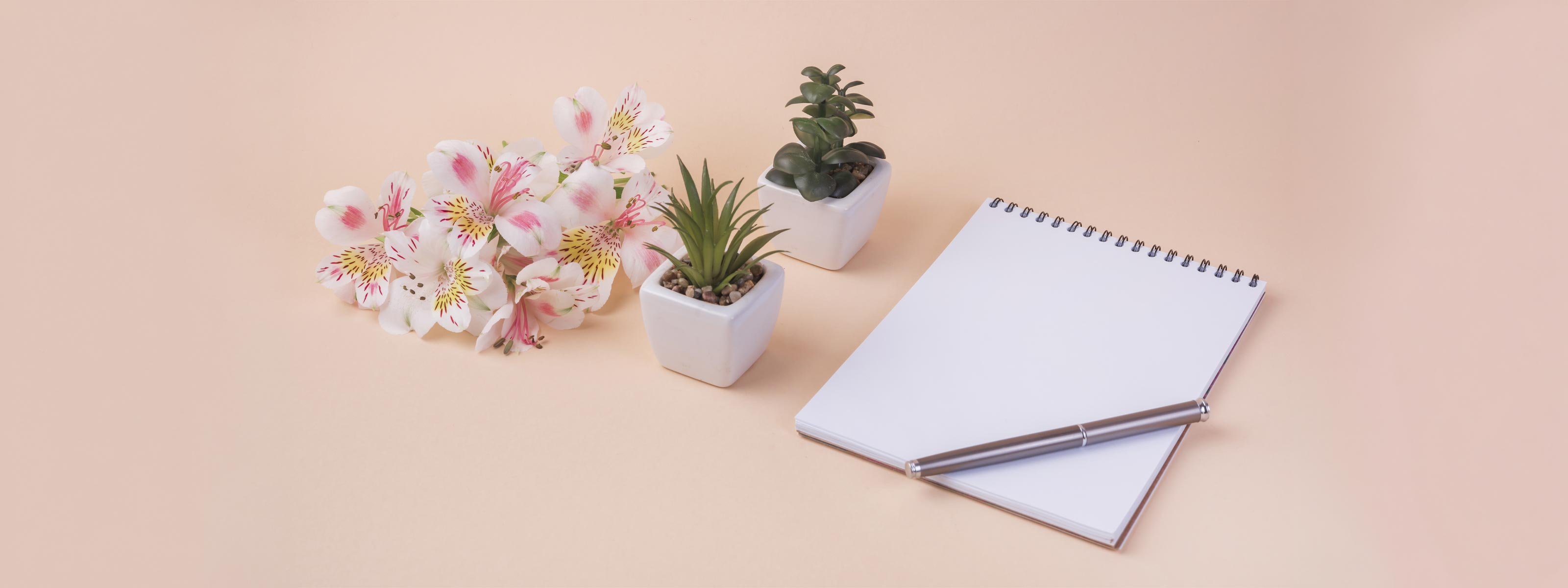 Surgery and Treatment Fees